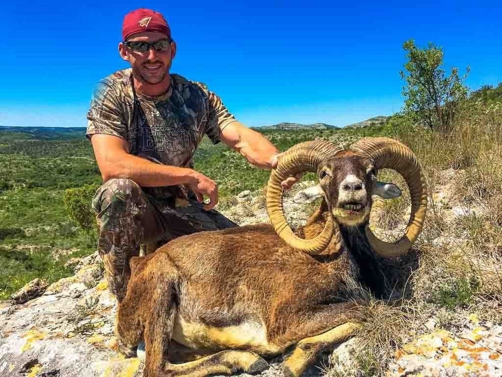Ox Ransch 3-Day, 2-Night Mouflon Hunt at the Famous Ox Ranch in Uvalde, Texas