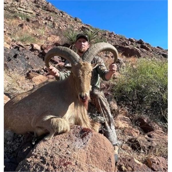 West Texas Aoudad Hunt
