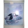Image 1 : Framed print of 3 puffins by Tok Hwong (189)