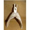 Image 1 : Ivory swan on jaw bone base by Aningayou (2)