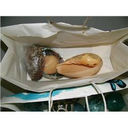 Bag of shells: abalone, melo melo, and cockle (2)
