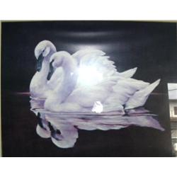 Framed and matted print of 2 swans (2)