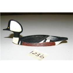 CHOICE on 4 Al Mayac birds: Hooded Merganser (2)