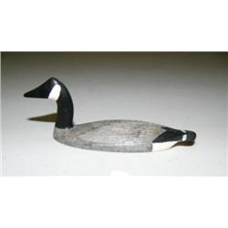 CHOICE on 4 Al Mayac birds: Canada Goose (2)