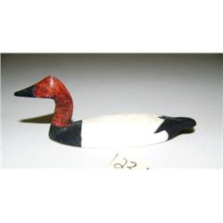 CHOICE on 4 Al Mayac birds: Canvas Back (2)