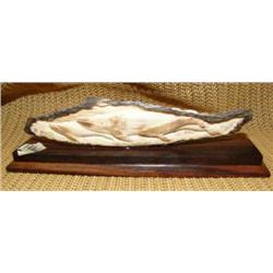 CHOICE on 2: fossilized ivory relief carvings on wood base: family of whales (2)