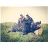 Image 3 : 1 Person Guided Hog Hunt with Lodging -Frontera Hunting