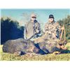 Image 4 : 1 Person Guided Hog Hunt with Lodging -Frontera Hunting