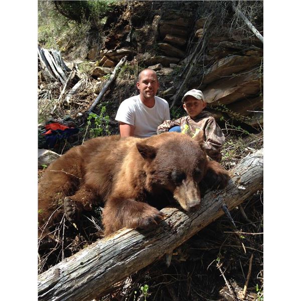 California Fully Guided Bear Hunt