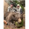 Image 2 : California Fully Guided Bear Hunt