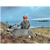 Image 5 : Kodiak Alaska Deer & Duck Hunt for 2 with Afognak Wilderness Lodge Kodiak