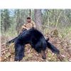 Image 1 : ALBERTA – 6 DAY BLACK BEAR HUNT FOR 1 HUNTER