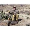 Image 1 : ARIZONA – 4 DAY JAVELINA HUNT WITH ANY WEAPONS FOR 1 HUNTER