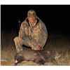 Image 3 : ARIZONA – 4 DAY JAVELINA HUNT WITH ANY WEAPONS FOR 1 HUNTER