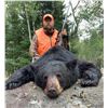 Image 1 : ONTARIO - 5 DAY BLACK BEAR HUNT FOR 1 HUNTER