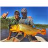 Image 2 : ARGENTINA – 4 DAY BIG GAME HUNT / 1 DAY FISHING FOR GOLDEN DORADO FOR 2
