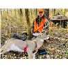 Image 2 : MISSOURI – 5 DAY/5 NIGHT MISSOURI ARCHERY WHITETAIL HUNT FOR 2 HUNTERS
