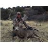 Image 1 : ARIZONA – 5 DAY MULE DEER ARCHERY HUNT FOR 1 HUNTER