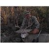 Image 3 : ARIZONA – 5 DAY MULE DEER ARCHERY HUNT FOR 1 HUNTER