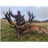 Image 2 : NEW ZEALAND – 5 DAY 2X1 RED STAG/FALLOW DEER HUNT FOR 2 HUNTERS