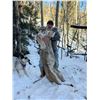 Image 5 : NEW MEXICO – 5 DAY / 6 NIGHT MOUNTAIN LION HUNT FOR 1 HUNTER