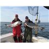 Image 2 : MICHIGAN – SALMON/LAKE TROUT FISHING CHARTER FOR FOUR