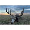 Image 1 : SOUTH DAKOTA – 5 DAY MULE OR WHITETAIL DEER RIFLE OR ARCHERY HUNT FOR 1 HUNTER