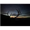 Image 4 : SOUTH DAKOTA – 5 DAY MULE OR WHITETAIL DEER RIFLE OR ARCHERY HUNT FOR 1 HUNTER