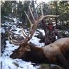 Image 2 : NEW MEXICO – 5 DAY GUN/6 DAY BOW ELK HUNT FOR 1 HUNTER