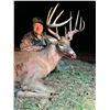 Image 1 : MISSOURI – 6 NIGHT ARCHERY WHITETAIL HUNT FOR 1 HUNTER