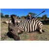 Image 2 : SOUTH AFRICA 7 DAY SAFARI FOR 2 – ZEBRA & 2 - IMPALA FOR 4 HUNTERS & 4 OBSERVERS