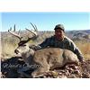 Image 1 : ARIZONA – 5 DAY COUES DEER FIREARM HUNT FOR 1 HUNTER