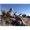 Image 3 : ARIZONA – 5 DAY COUES DEER FIREARM HUNT FOR 1 HUNTER