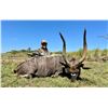 Image 2 : SOUTH AFRICA - 7 DAY 2 - NYALA BULL SAFARI FOR 2 HUNTERS