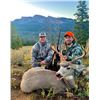 Image 1 : WYOMING – 5 DAY/6 NIGHT MULE DEER HUNT FOR 1 HUNTER