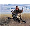 Image 3 : WYOMING – 5 DAY/6 NIGHT MULE DEER HUNT FOR 1 HUNTER