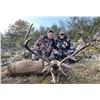 Image 1 : SPAIN – 3 DAY HUNT FOR TROPHY IBERIAN RED DEER FOR ONE HUNTER