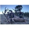 Image 3 : SPAIN – 3 DAY HUNT FOR TROPHY IBERIAN RED DEER FOR ONE HUNTER
