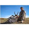 Image 2 : MONTANA – 4-DAY/5-NIGHT PRONGHORN HUNT FOR 1 HUNTER