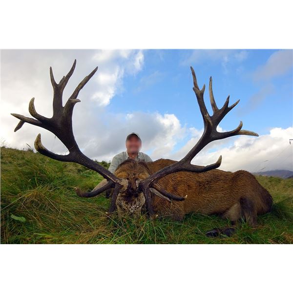 SCOTLAND – 7 DAY RIFLE HUNT PACKAGE FOR A RED STAG FOR 1 HUNTER