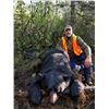 Image 1 : MICHIGAN – 3 DAY BLACK BEAR HUNT FOR ONE HUNTER