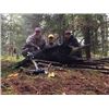 Image 4 : MICHIGAN – 3 DAY BLACK BEAR HUNT FOR ONE HUNTER