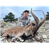 Image 3 : EXCEPTIONAL 3 DAY SOUTHEASTERN IBEX HUNT INCL. 1 TROPHY UP TO 63" AND 1 MANAGEMENT IBEX