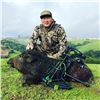 Image 1 : ONE DAY WILD HOG OR TURKEY HUNT FOR ONE HUNTER IN NORTHERN CALIFORNIA FOR ADULT OR YOUTH, 2025 ONLY