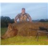 Image 4 : ONE DAY WILD HOG OR TURKEY HUNT FOR ONE HUNTER IN NORTHERN CALIFORNIA FOR ADULT OR YOUTH, 2025 ONLY