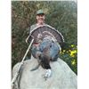 Image 7 : ONE DAY WILD HOG OR TURKEY HUNT FOR ONE HUNTER IN NORTHERN CALIFORNIA FOR ADULT OR YOUTH, 2025 ONLY