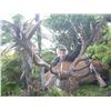 Image 2 : NEW ZEALAND RED STAG & FALLOW DEER HUNT