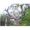 Image 3 : NEW ZEALAND RED STAG & FALLOW DEER HUNT