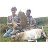 Image 4 : NEW ZEALAND RED STAG & FALLOW DEER HUNT