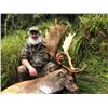 Image 5 : NEW ZEALAND RED STAG & FALLOW DEER HUNT